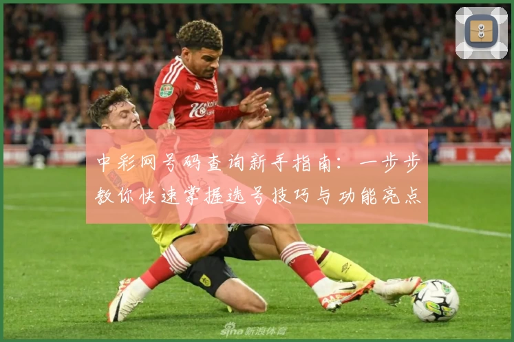 中彩网号码查询新手指南：一步步教你快速掌握选号技巧与功能亮点