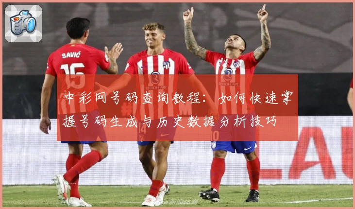 中彩网号码查询教程：如何快速掌握号码生成与历史数据分析技巧