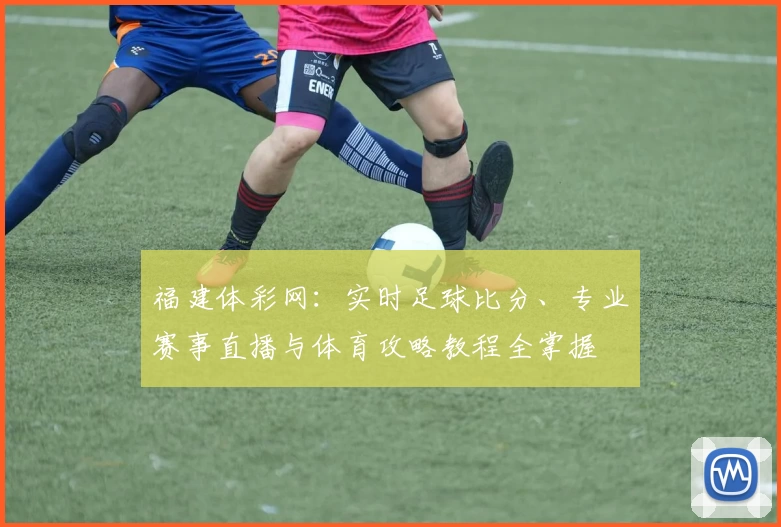 福建体彩网:实时足球比分、专业赛事直播与体育攻略教程全掌握