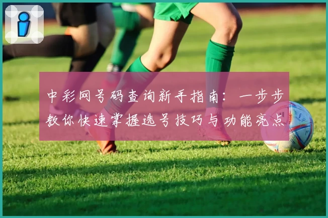 中彩网号码查询新手指南：一步步教你快速掌握选号技巧与功能亮点