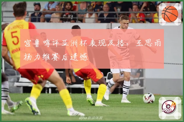宫鲁鸣评亚洲杯表现及格,王思雨杨力维赛后遗憾