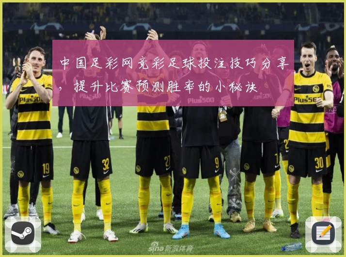 中国足彩网竞彩足球投注技巧分享,提升比赛预测胜率的小秘诀