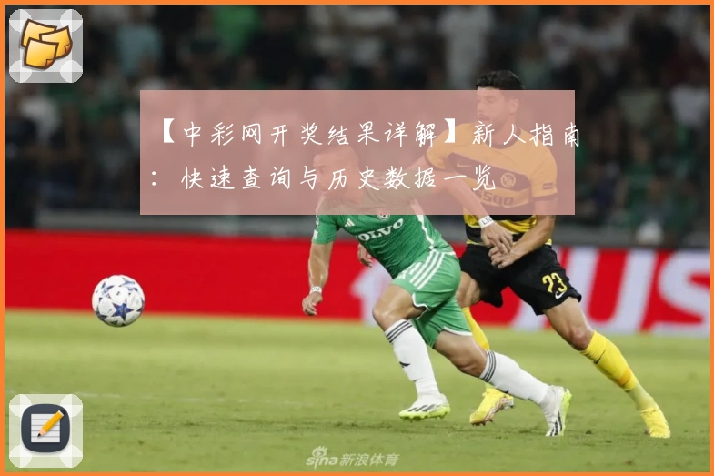 【中彩网开奖结果详解】新人指南：快速查询与历史数据一览