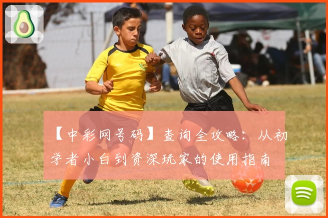 【中彩网号码】查询全攻略：从初学者小白到资深玩家的使用指南