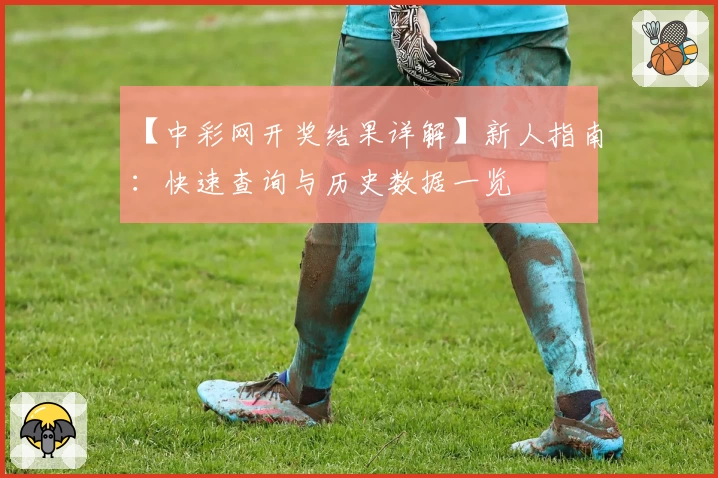 【中彩网开奖结果详解】新人指南：快速查询与历史数据一览
