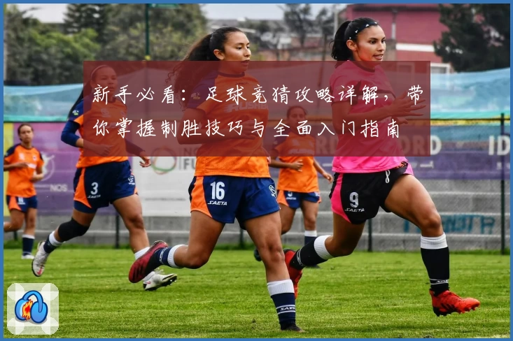 新手必看：足球竞猜攻略详解，带你掌握制胜技巧与全面入门指南