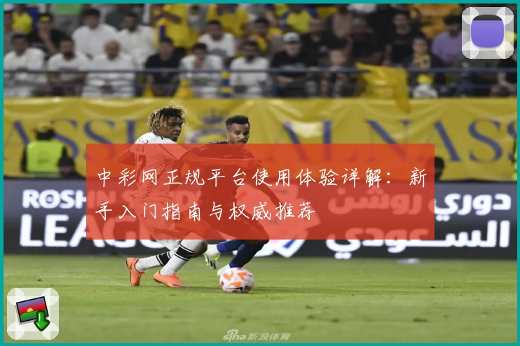 中彩网正规平台使用体验详解：新手入门指南与权威推荐