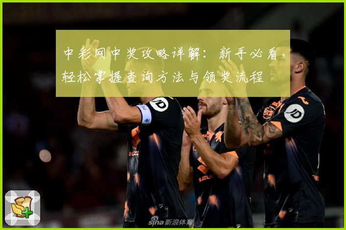 中彩网中奖攻略详解：新手必看，轻松掌握查询方法与领奖流程