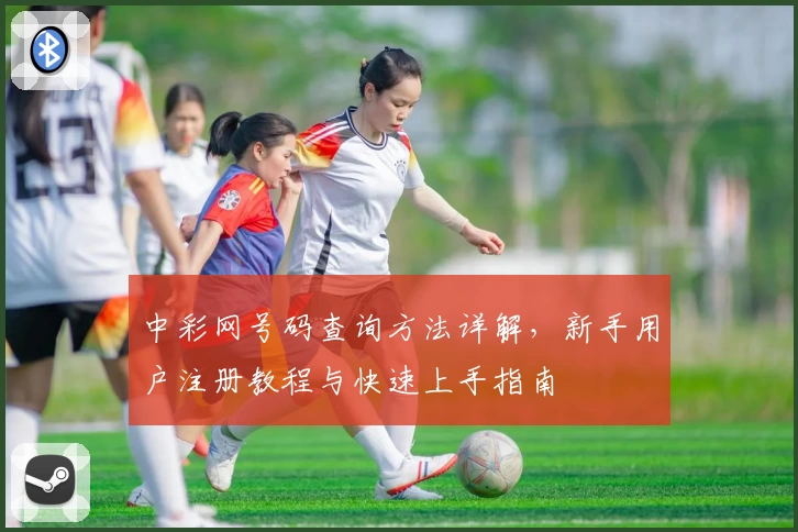 中彩网号码查询方法详解，新手用户注册教程与快速上手指南